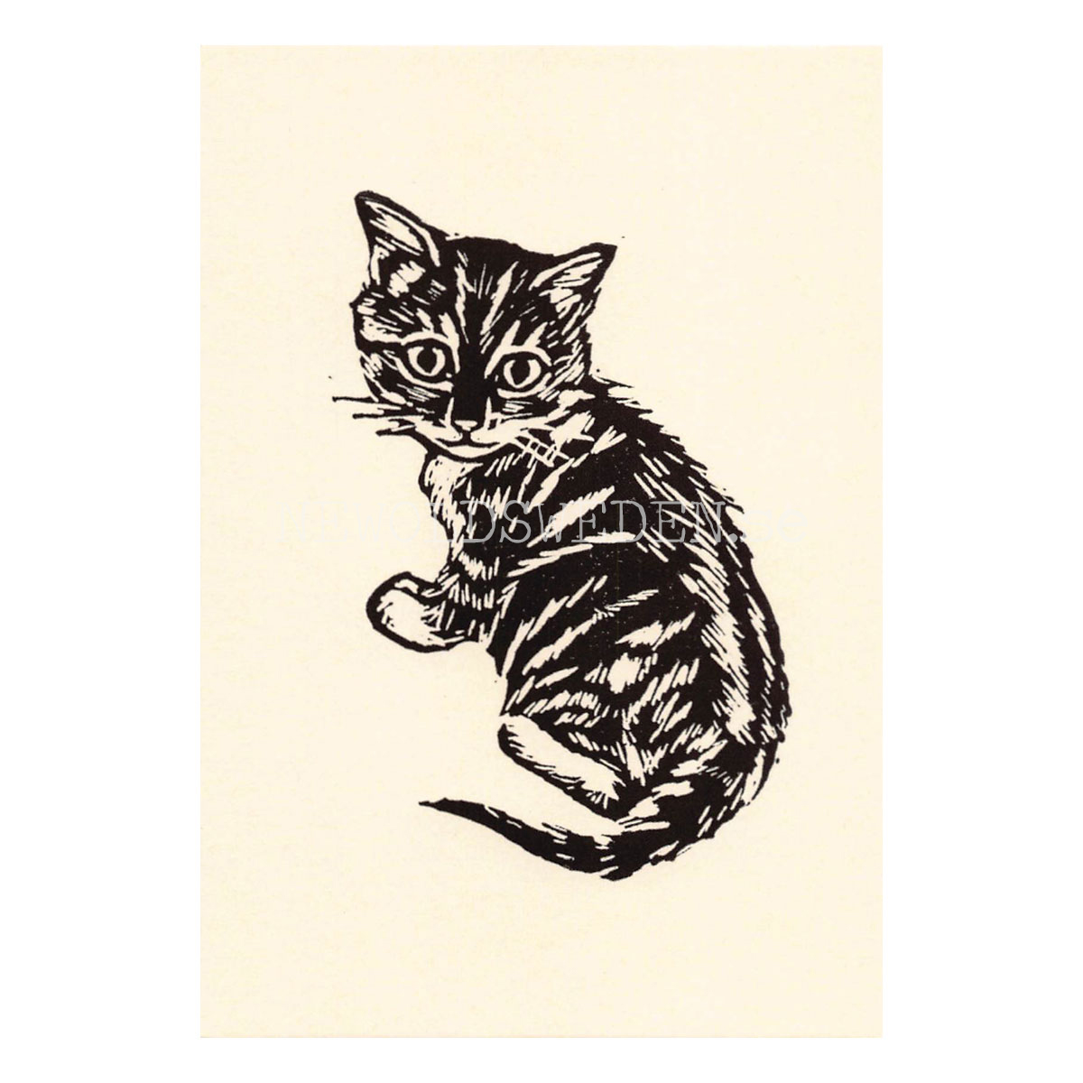 Biscuit 2020 - Tabitha Whitley - Postcard A6 - 1608 - 2