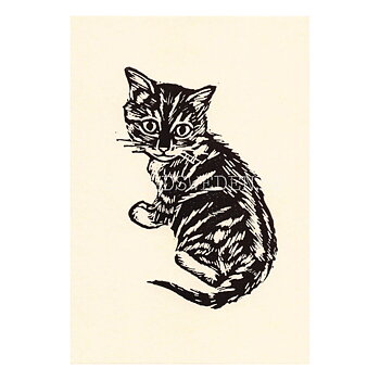 Biscuit 2020 - Tabitha Whitley - Postcard A6 - 1608