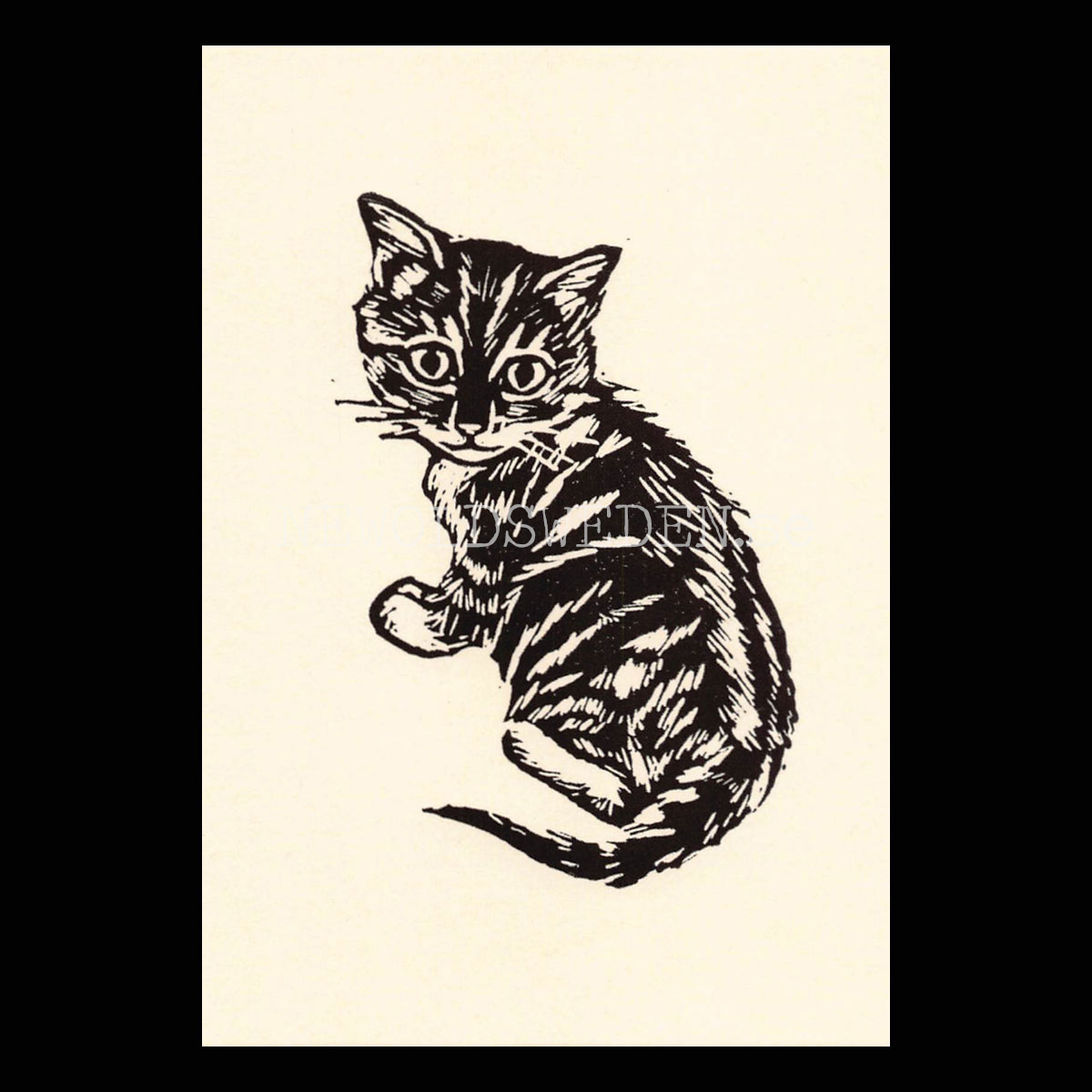 Biscuit 2020 - Tabitha Whitley - Postcard A6 - 1608