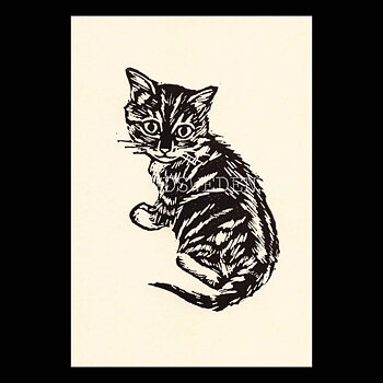 Biscuit 2020 - Tabitha Whitley - Postcard A6 - 1608