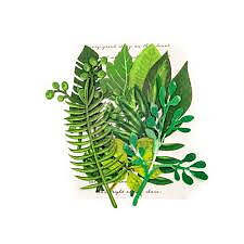 Prima Mulberry Leaf 12 -Evergreen Leaves Mörk nyans 