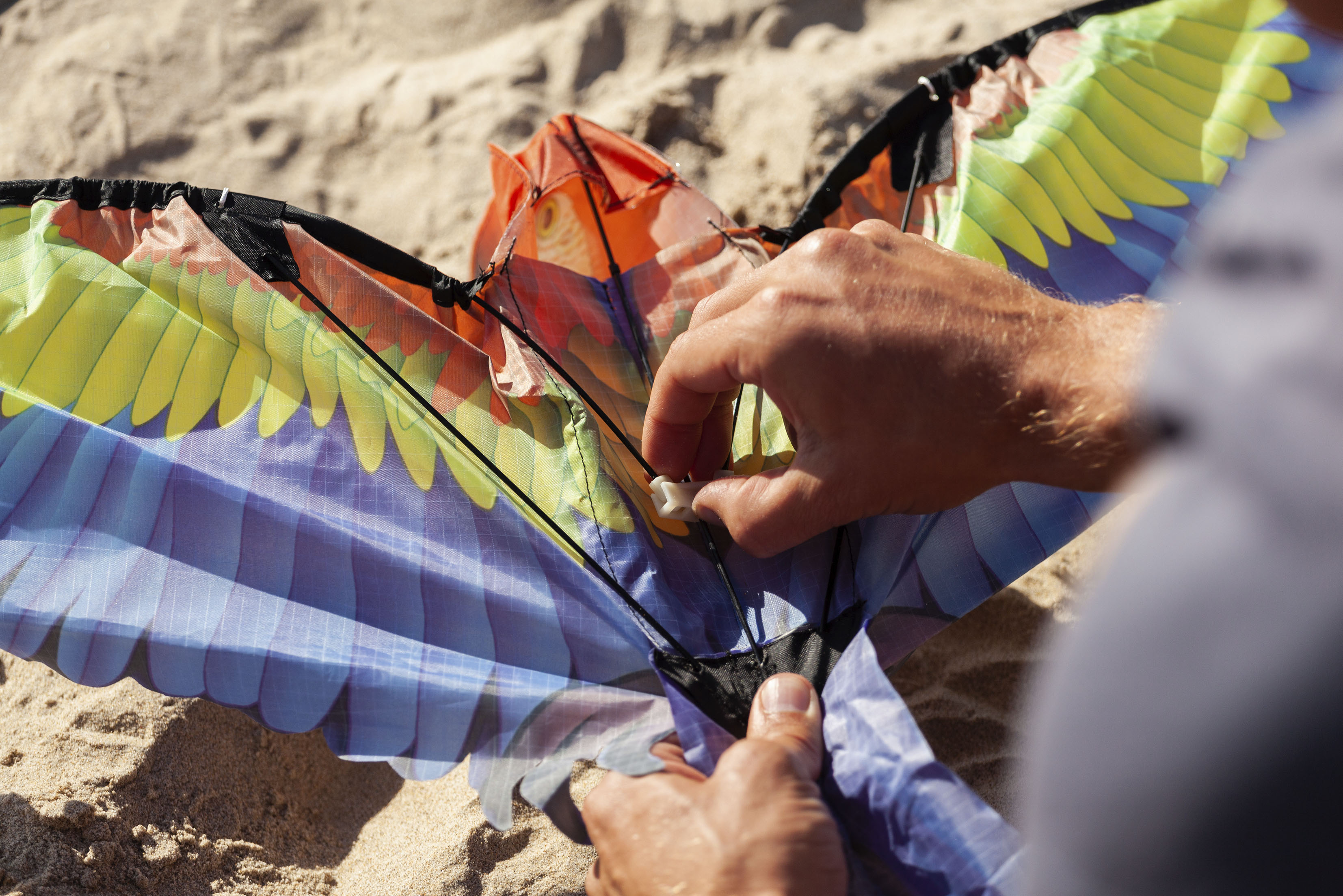 Kites Ready 2 fly Jättilinnut Popup Nylon Leija Robbis Hobby Shop