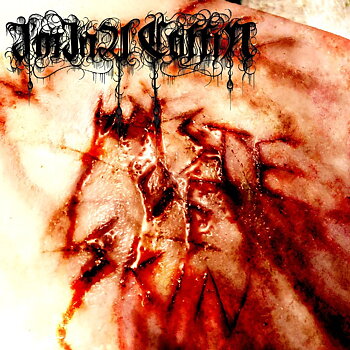 I'm in a Coffin - Waste of Skin [CD]