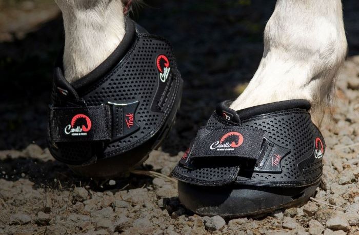 Cavallo TREK PRO  Regular - 2