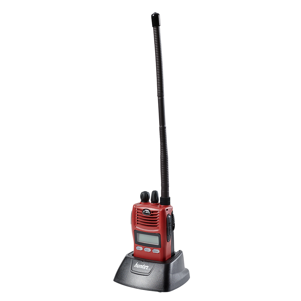 Hunter F1 31MHz