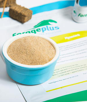 FORAGEPLUS MYCOSORB FOR HORSES