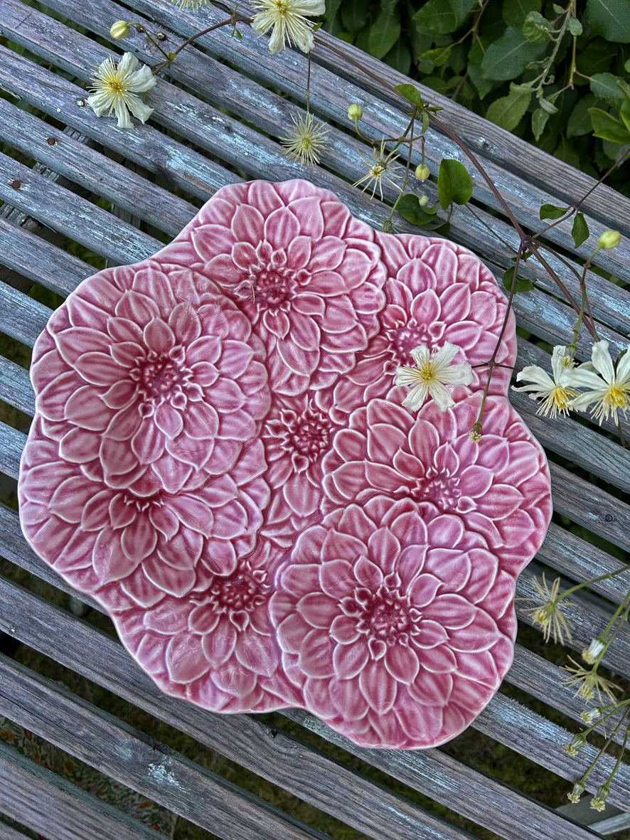 Fat - Dahlia - 2