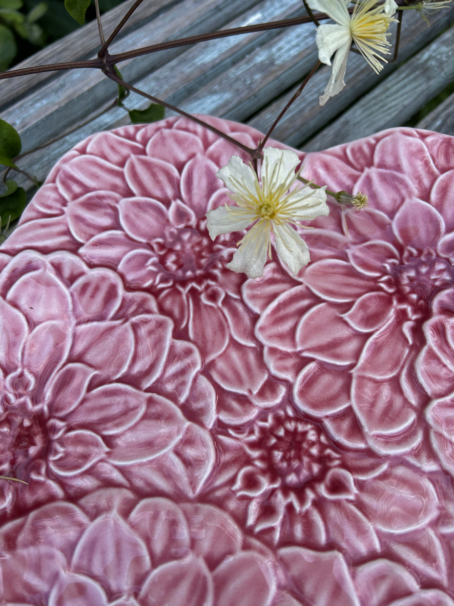 Fat - Dahlia - 3