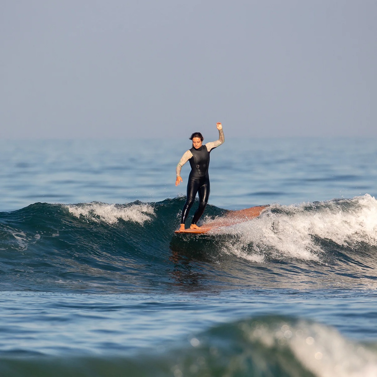 Wayne Rich vågsurfingbräda Wildcard 3 NFT - 5