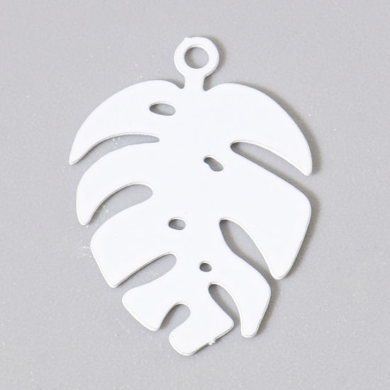 Charm   Leaf monstera  White