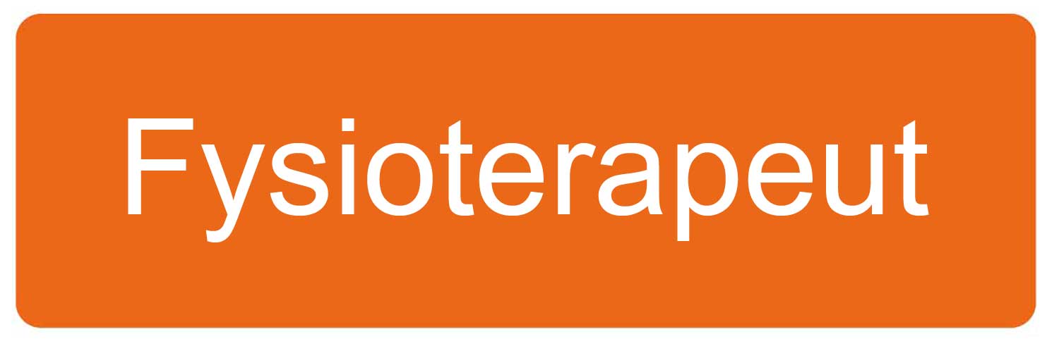 Fysioterapeut