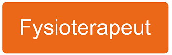 Fysioterapeut