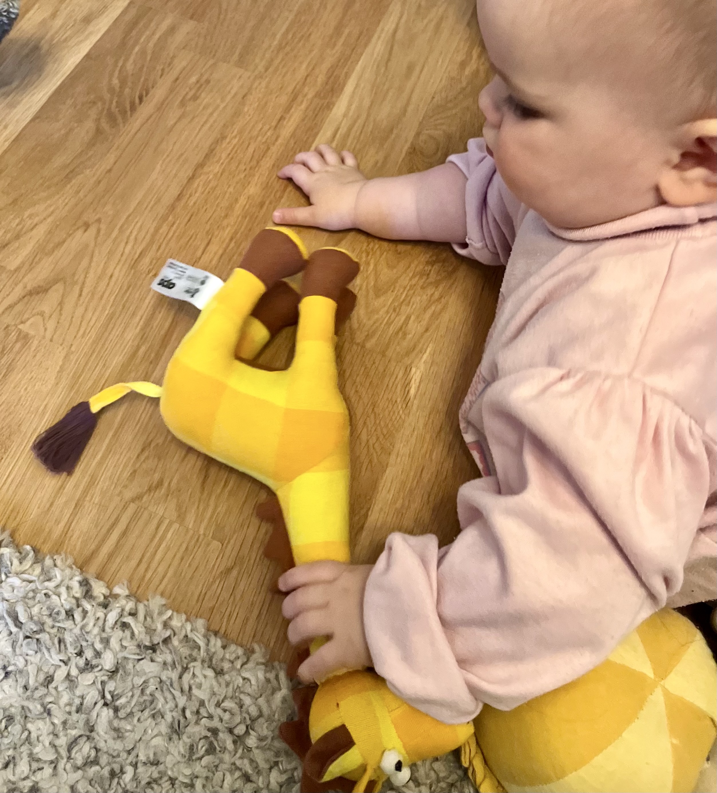 Affe giraff - 4