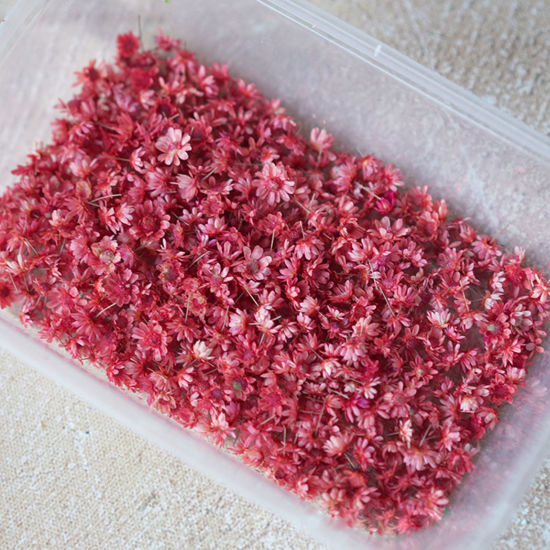 Dekoration till Resin -  Torkade blommor, rosa