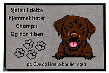 Dørmatte Labrador 3
