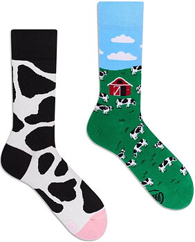 Many Mornings Holy Cow