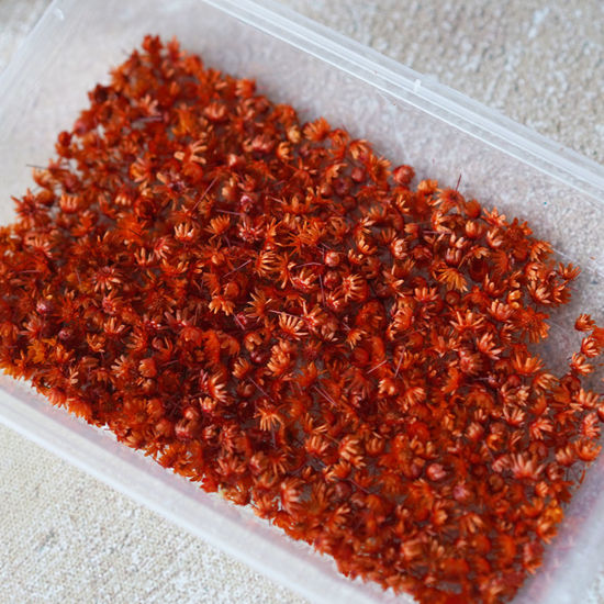 Resin Dry Flower, decoration,  orange