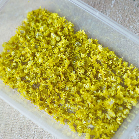 Dekoration till Resin -  Torkade blommor,  Gul