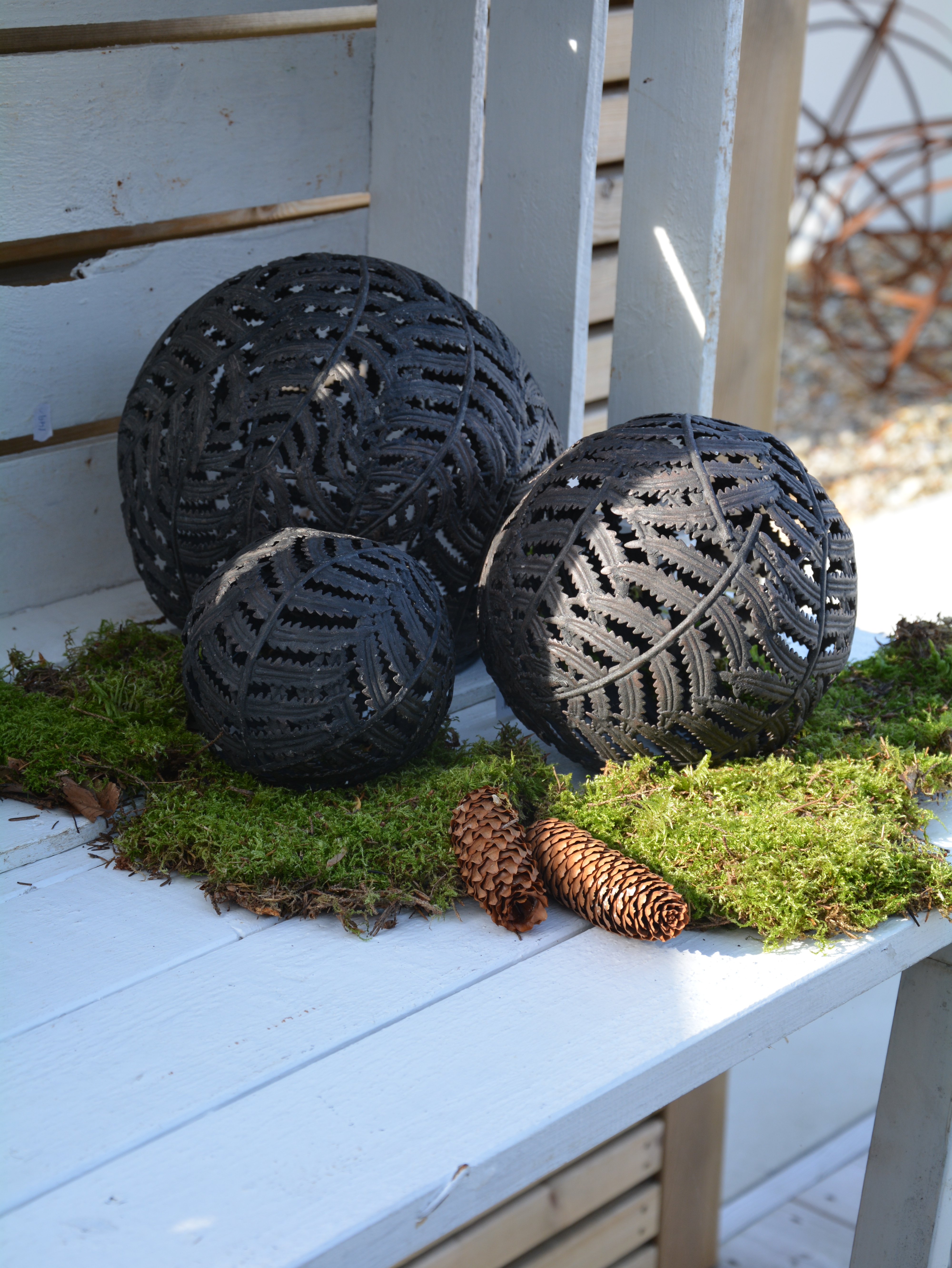 Marschallhållare ormbunke 24 cm - 4