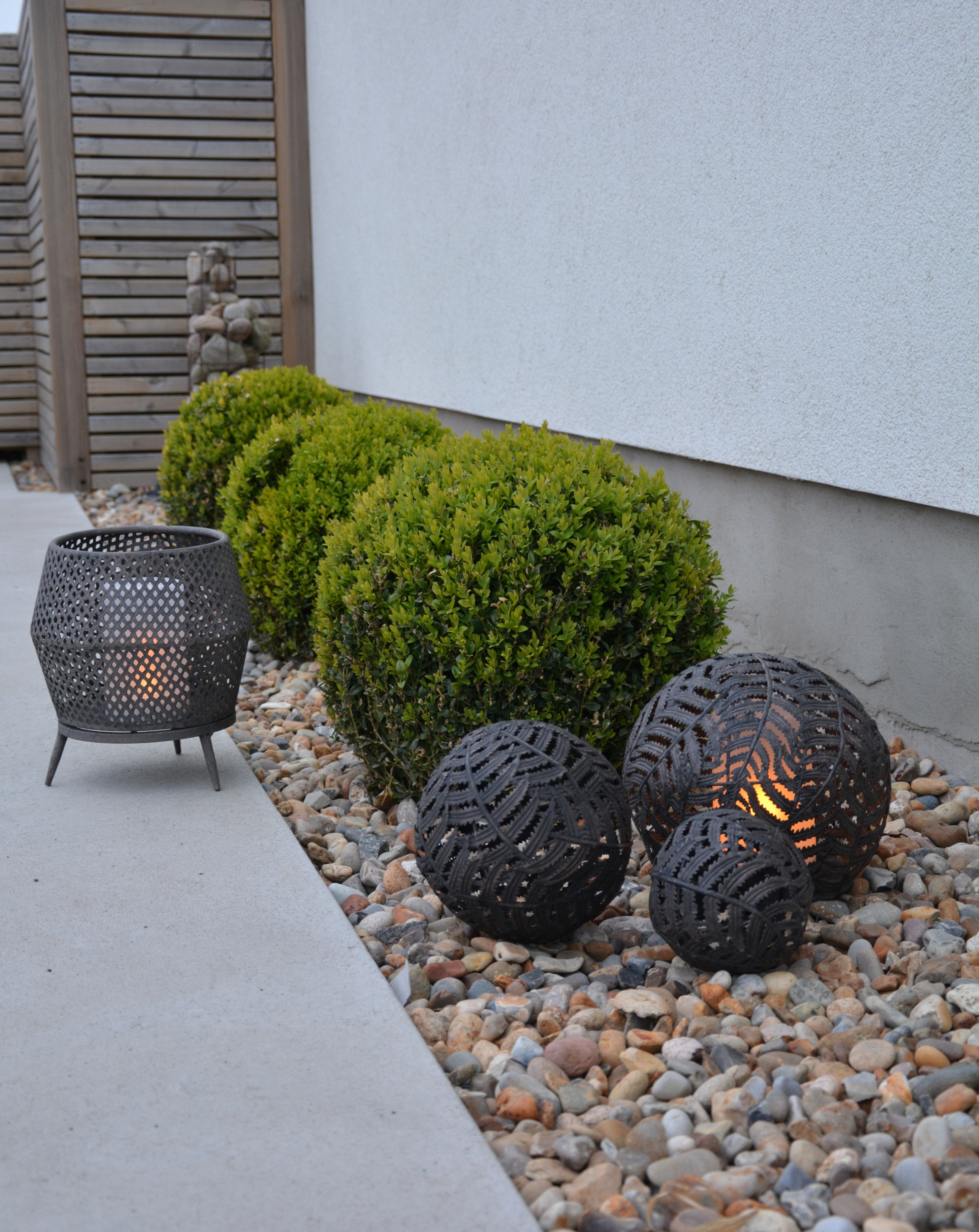 Marschallhållare ormbunke 24 cm