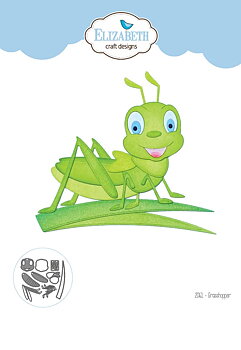 Elizabeth - Dies - Grasshopper