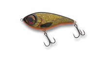 armada eyeswimmer 120mm 50g is a swimbait for large pike. incredibly easy to fish and can be fished shallow. crap roach 3d