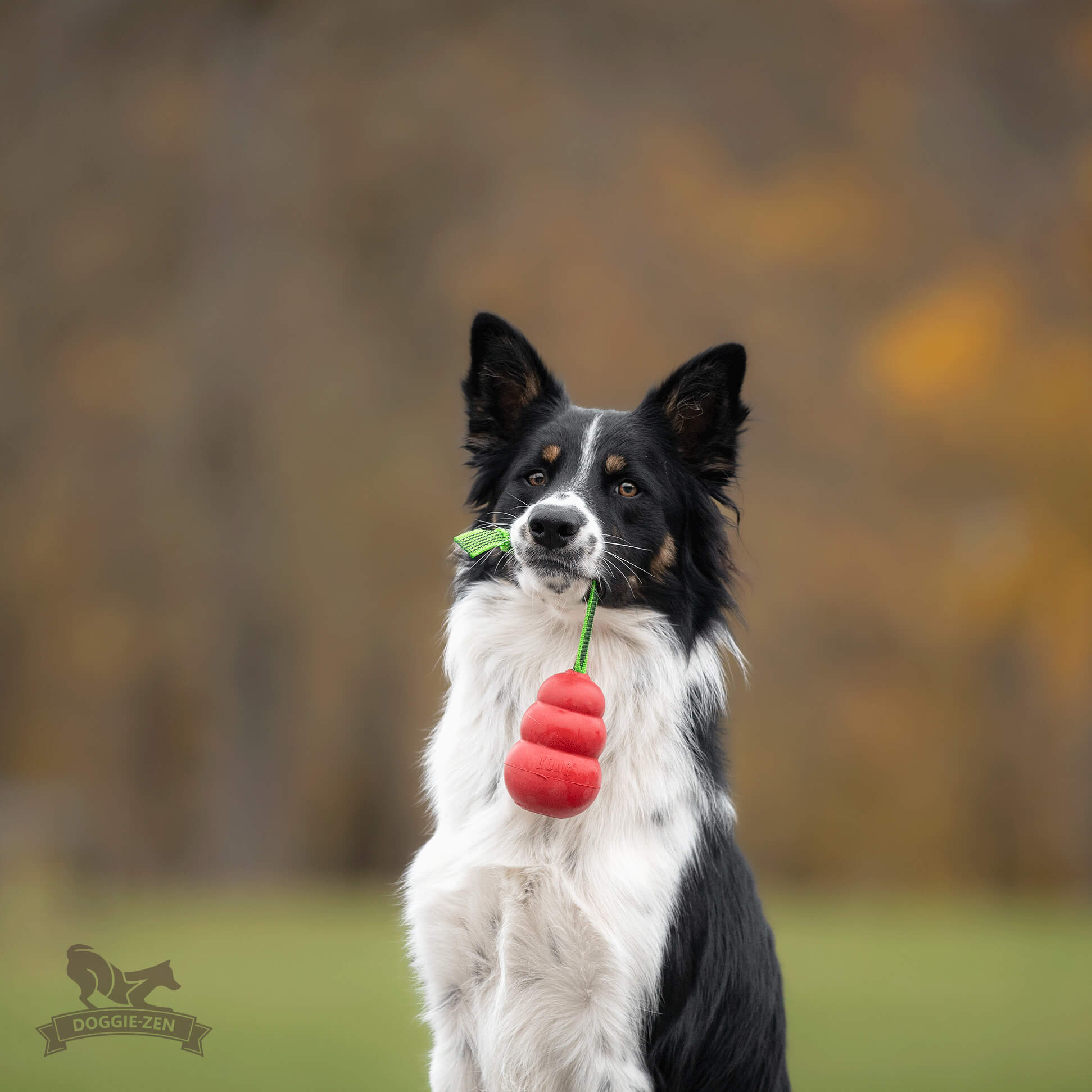 Sure Grip KONG Classic-kampis L