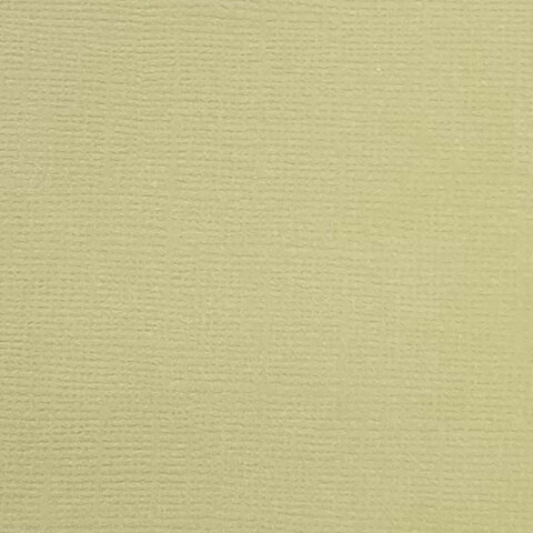 Cardstock Beach