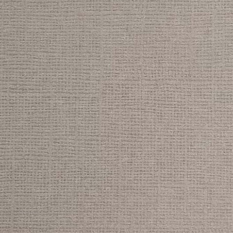 Cardstock Taupe