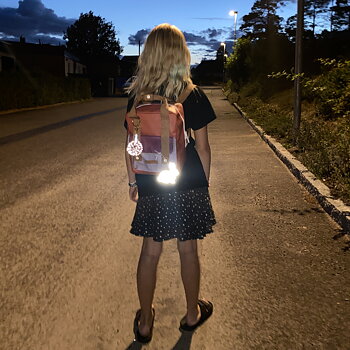 Pink Bunny Reflector Deluxe