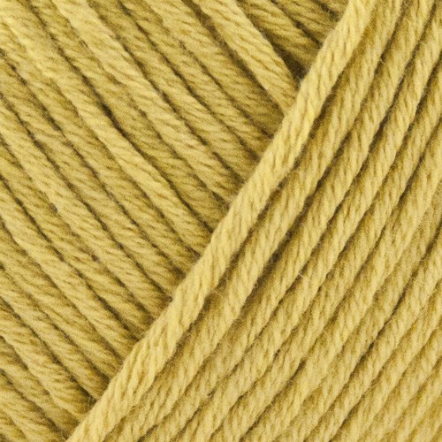 Organic Cotton, 111 Curry