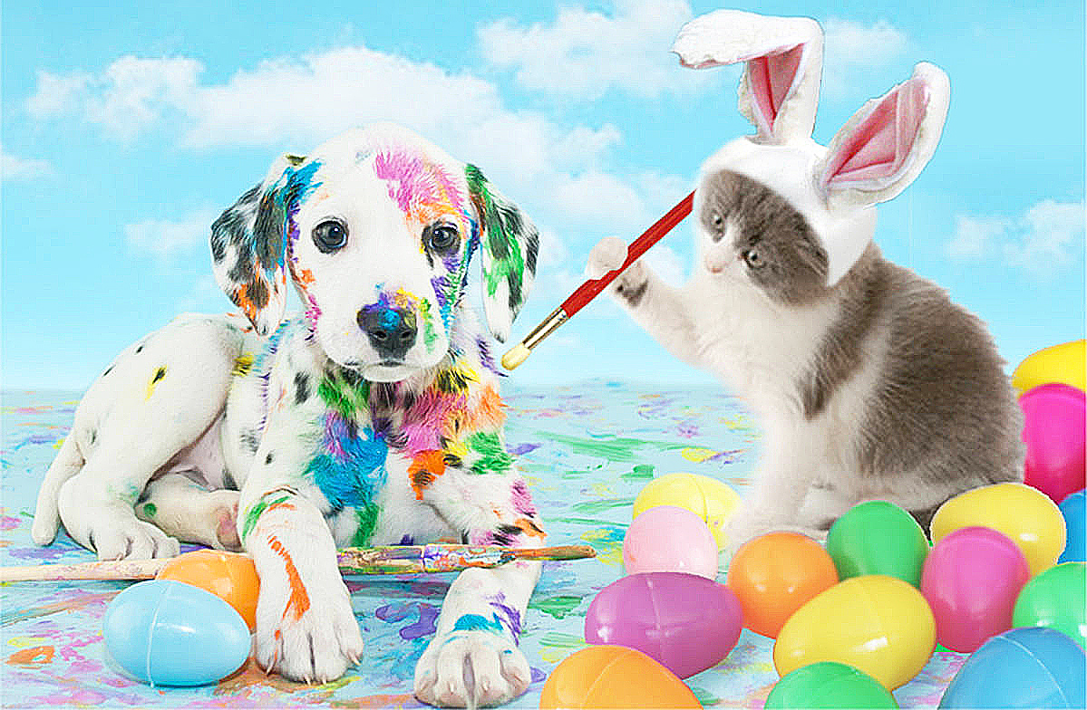 Påsk Hund & Katt, Diamond Picture Diamond Painting