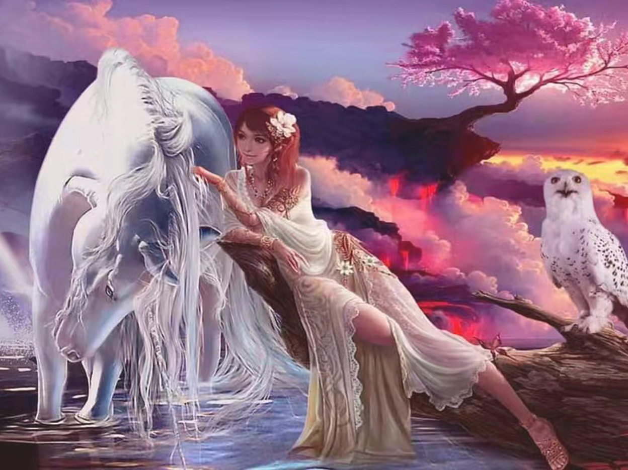 Kvinna & Häst, Diamond Picture Diamond Painting