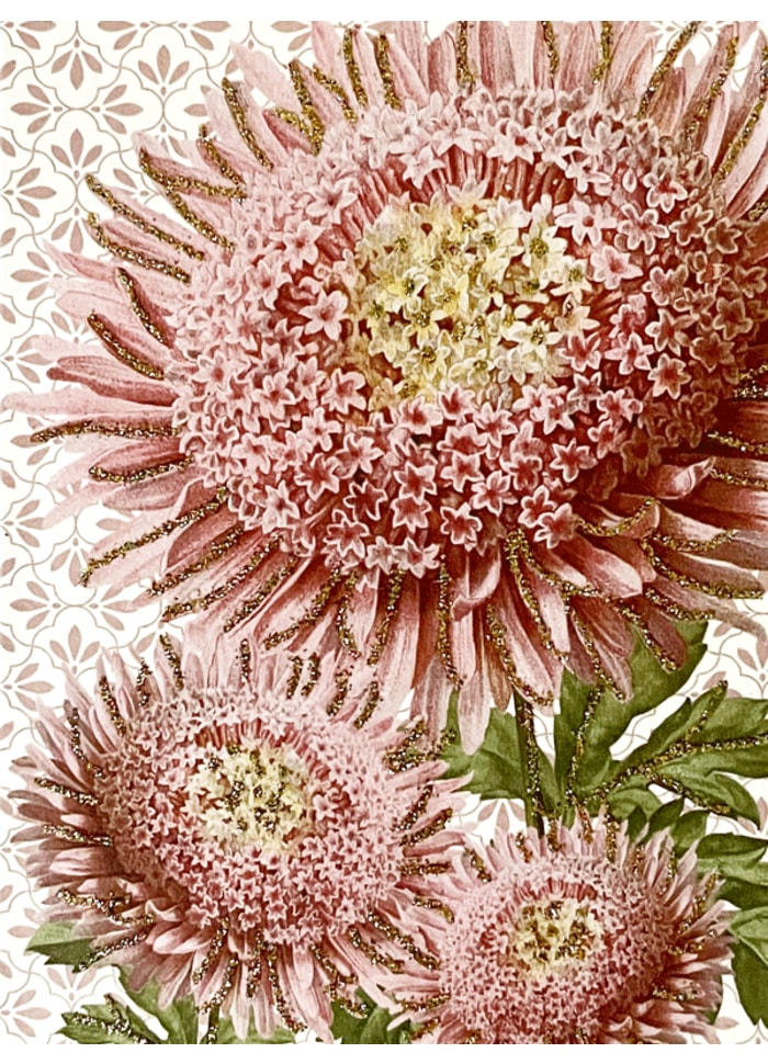 Kort & Kuvert / Pink dream 