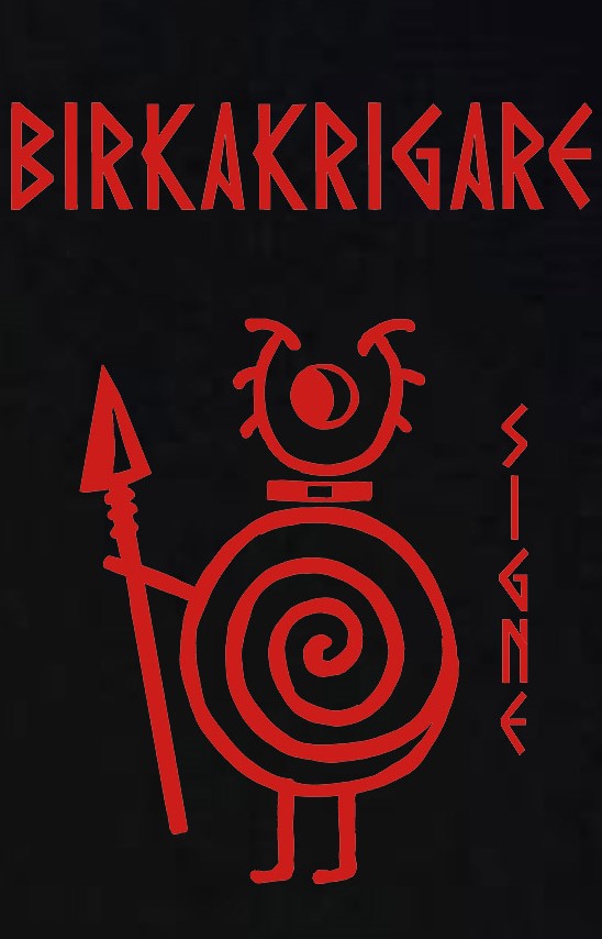 Kids t-shirt: Birka Warriors - Signe - Viking Art Collection (3-4 years) - 2