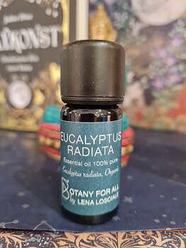 Eucalyptus radiata eko 10ml, Botany for all