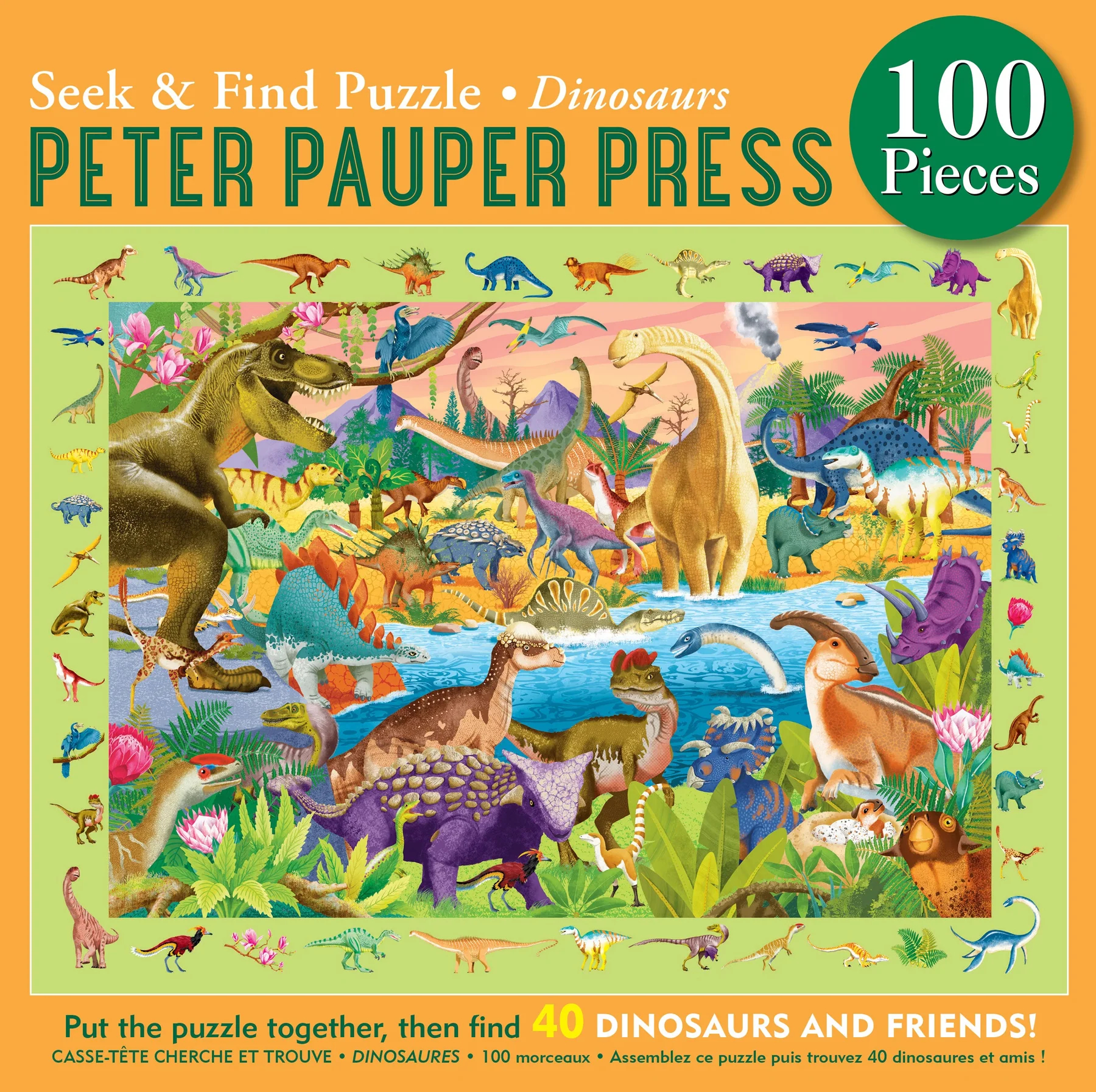 Seek & Find Puzzle Dinosaurs