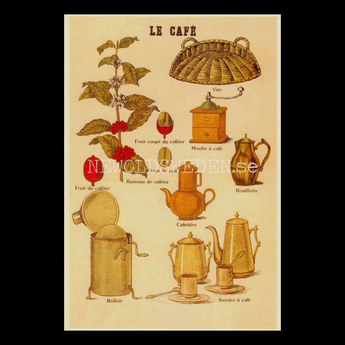 LE CAFÉ Vykort No. 1 av 4 - 750