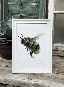 ART PRINT BUMBLEBEE 21x30