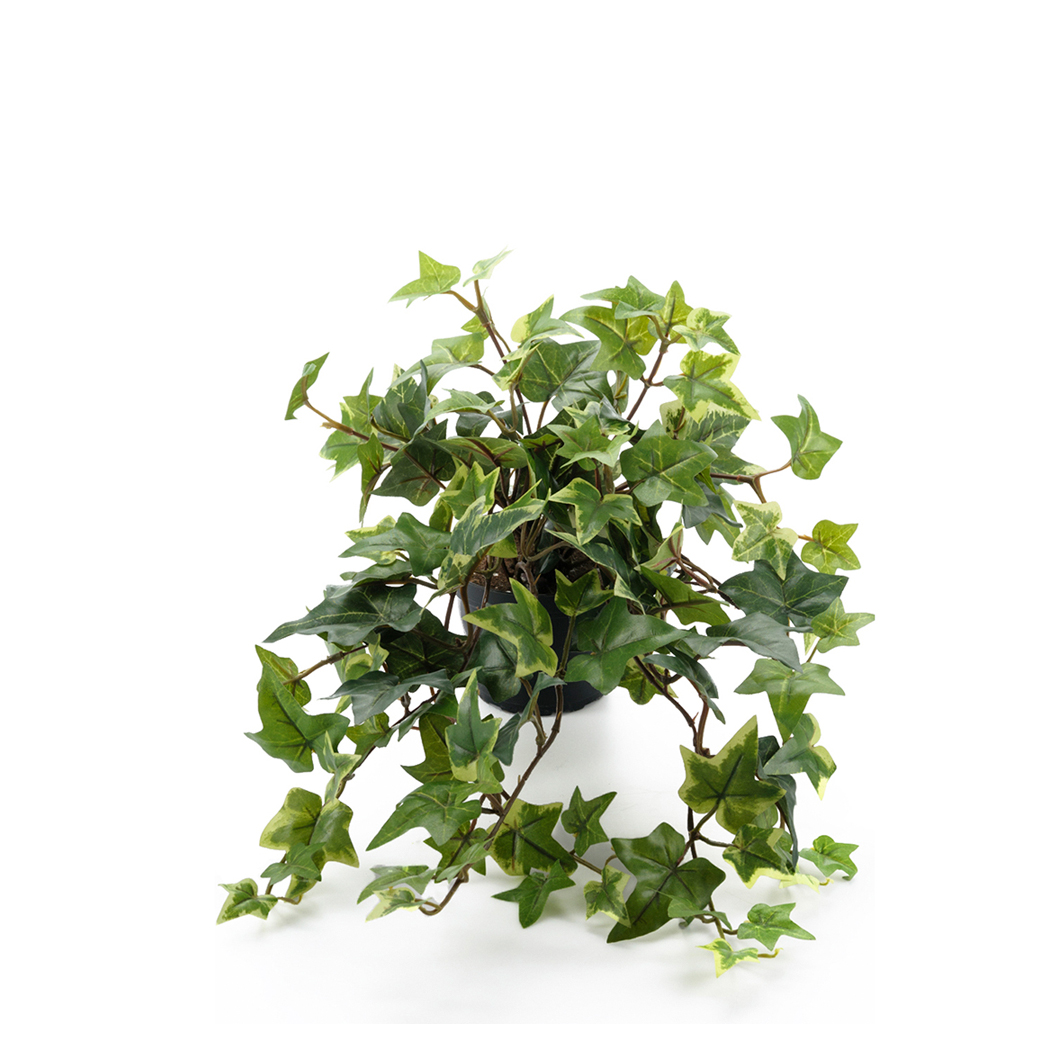Muratti MrPlant - 2