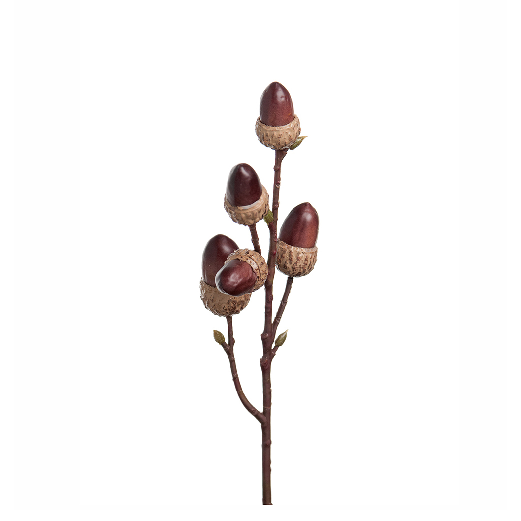 Kvist Ekollon Mr Plant - 2