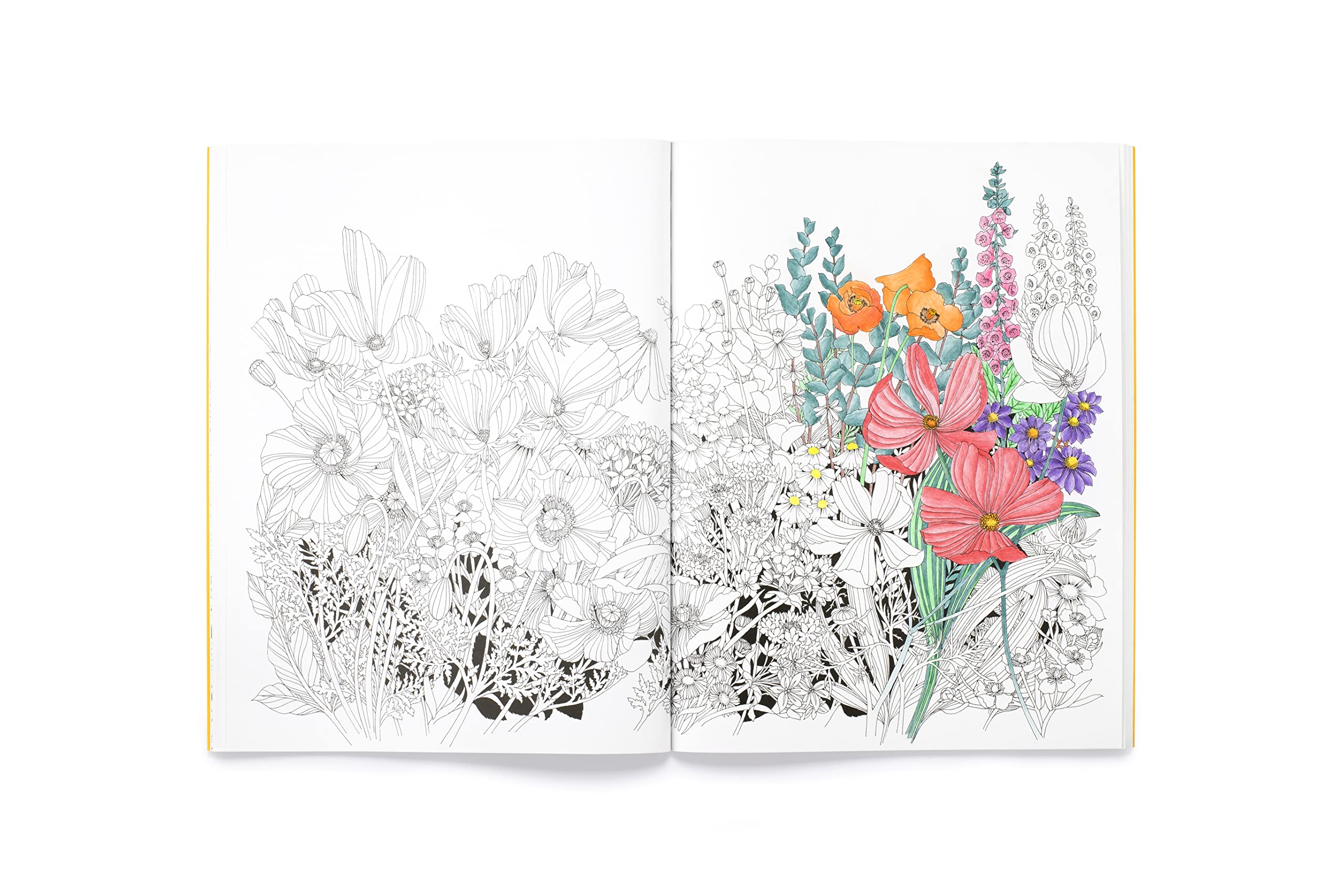 Leila Duly's Beautiful Planet: An Intricate Colouring Book - 6