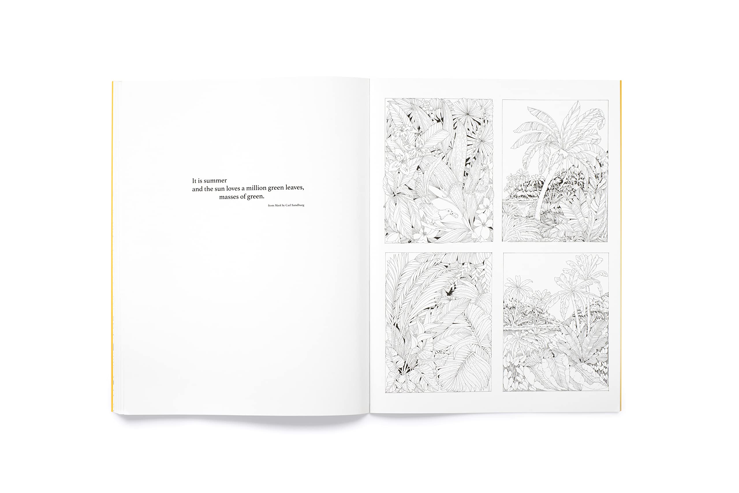 Leila Duly's Beautiful Planet: An Intricate Colouring Book - 4