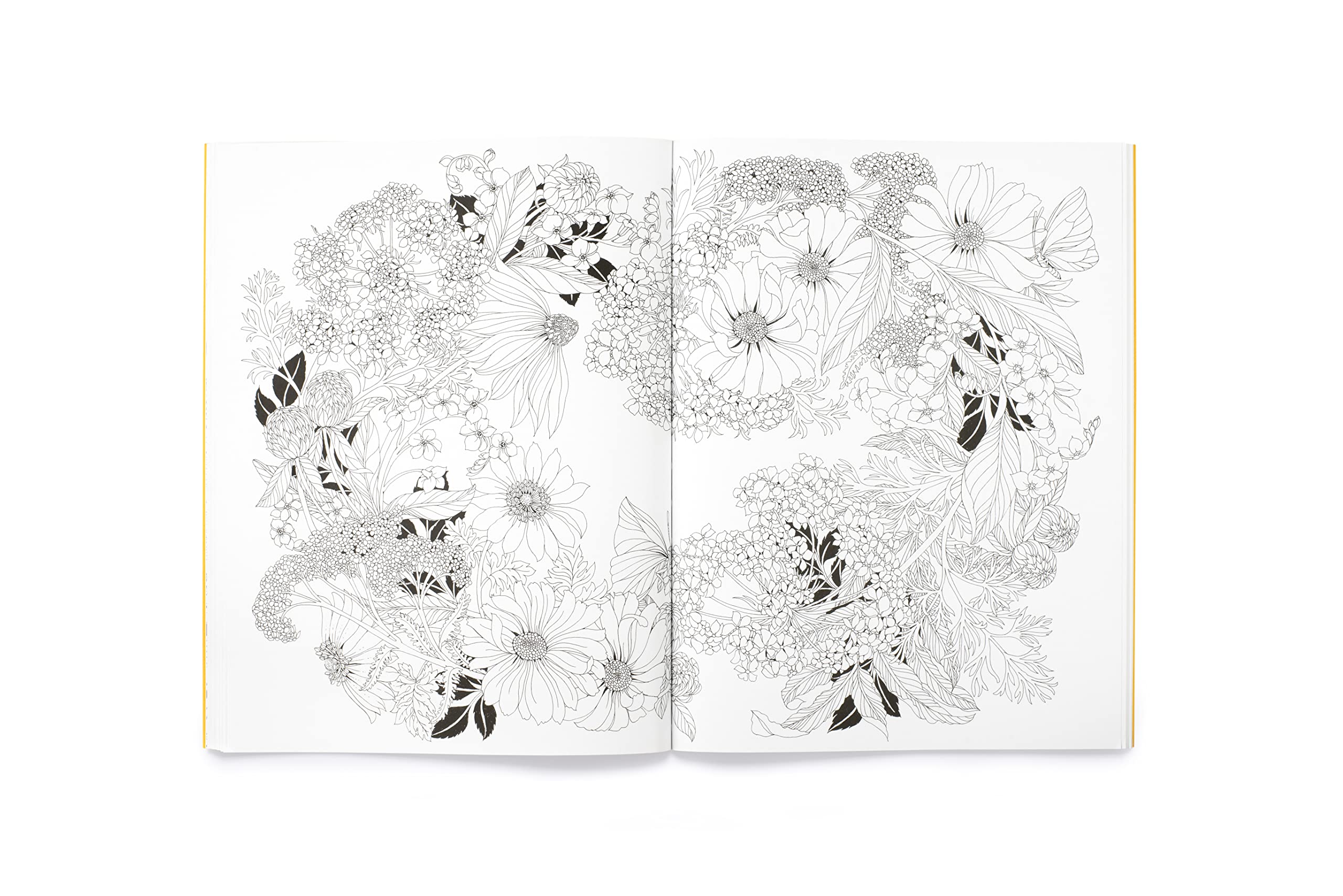 Leila Duly's Beautiful Planet: An Intricate Colouring Book - 9