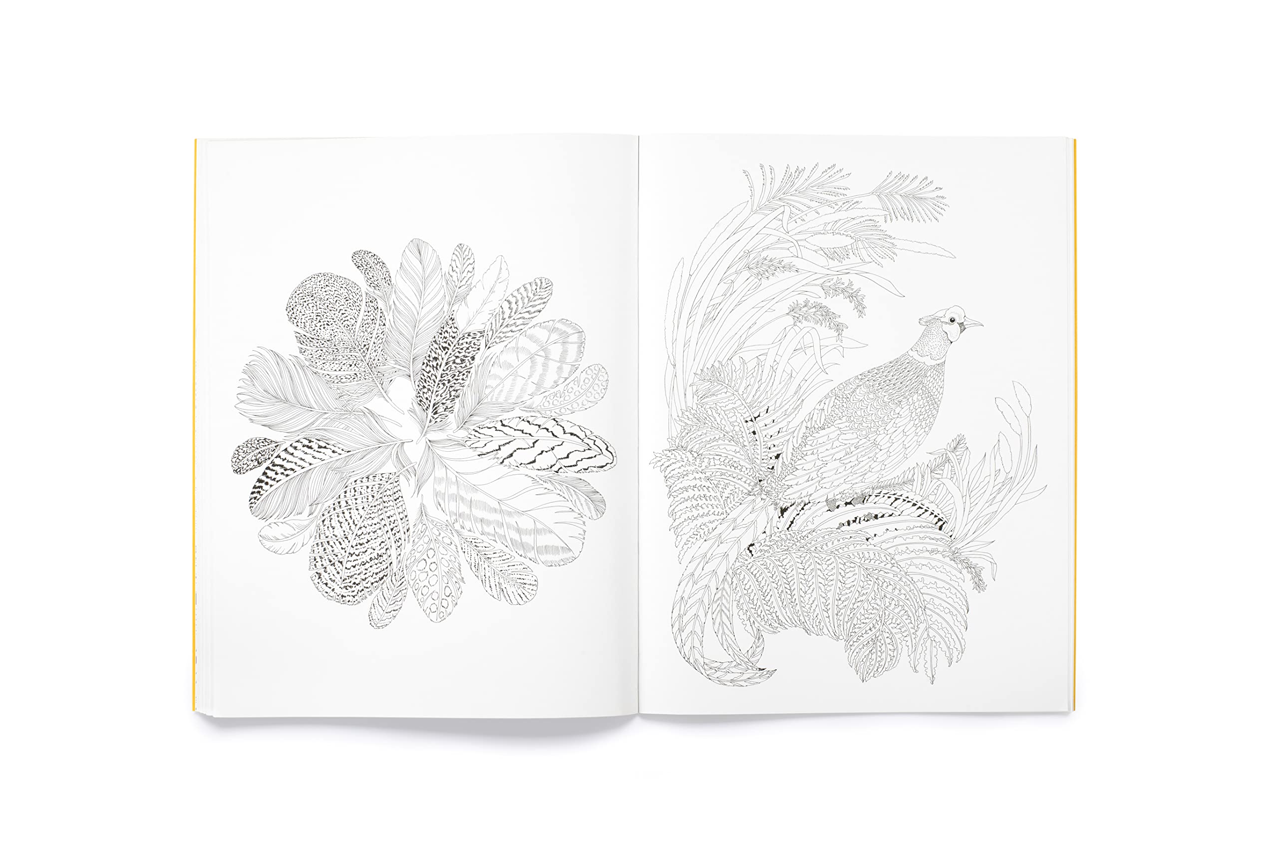 Leila Duly's Beautiful Planet: An Intricate Colouring Book - 7