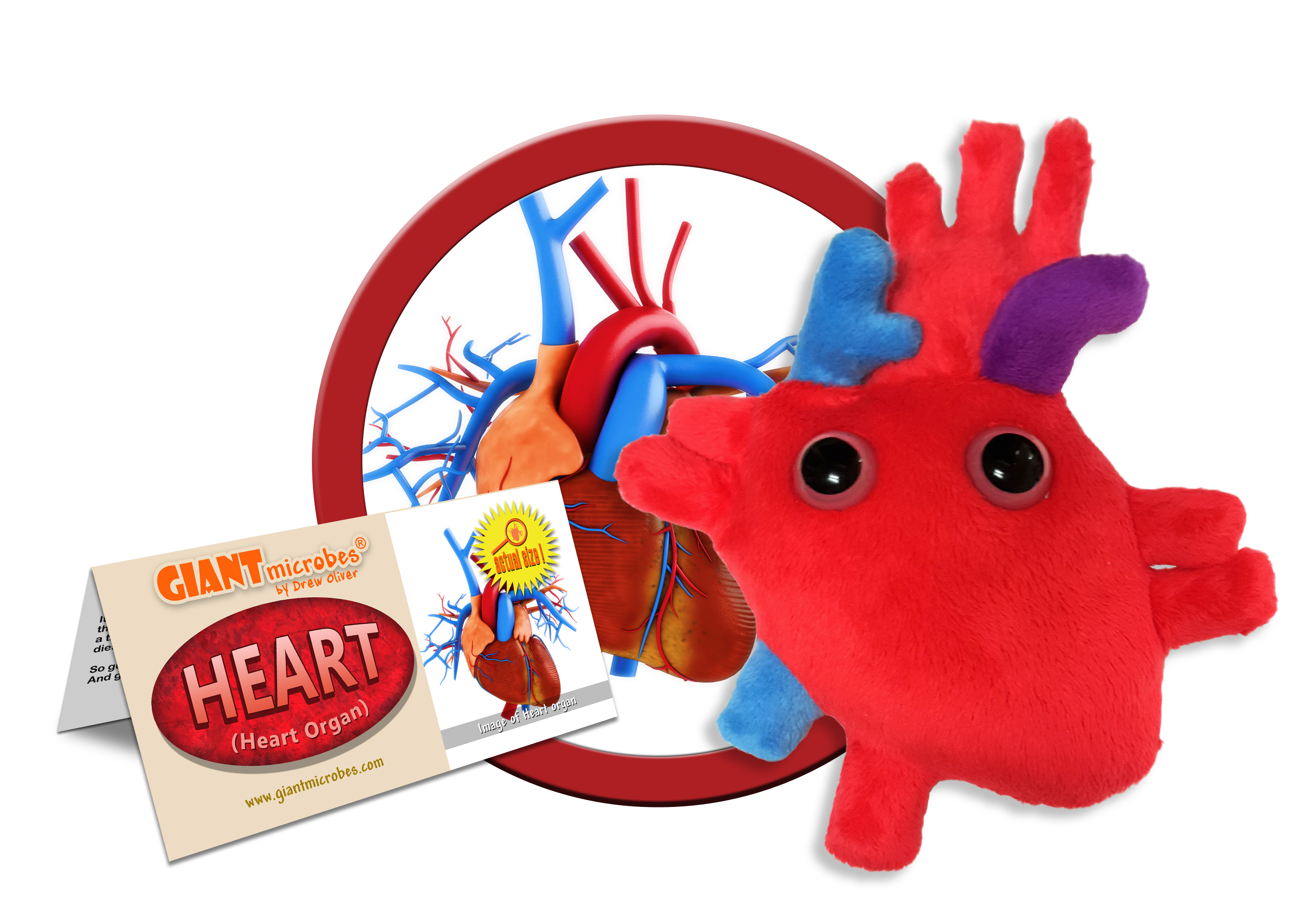 giant microbes heart