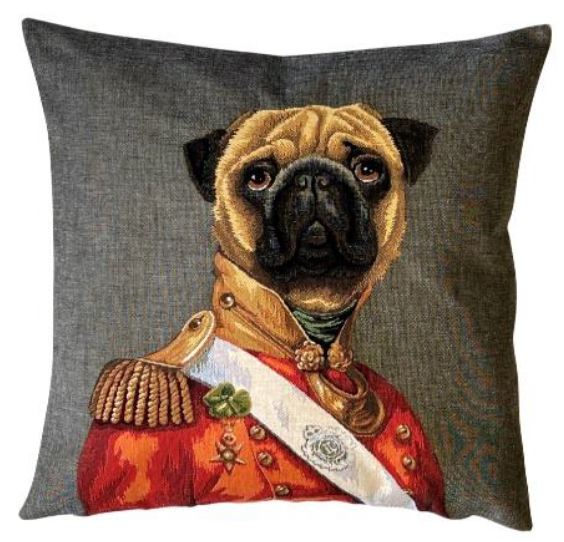 Pug in uniform
