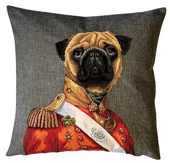 Pug in uniform