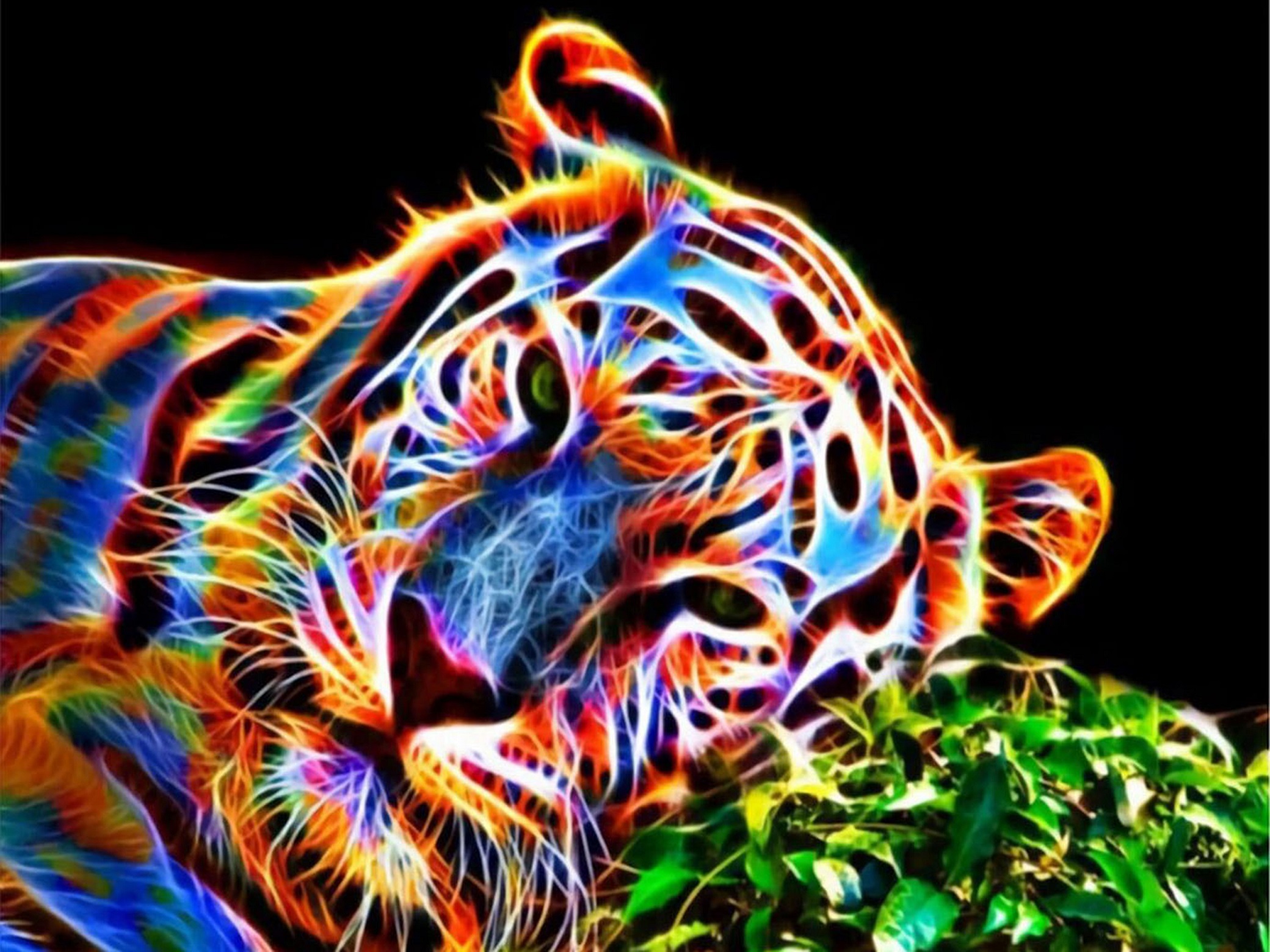 Tiger Napp, Diamond Picture Diamond Painting
