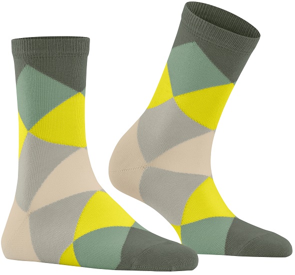 Burlington Bonnie  Dam